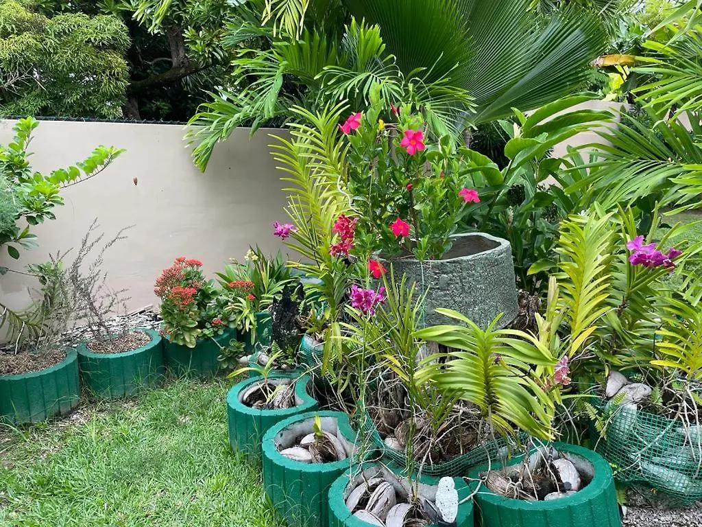 Mokara Holiday Apartment Anse Royale 0*,